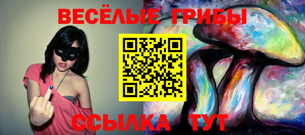 Галлюциногенные грибы прущие грибы Ростов-на-Дону